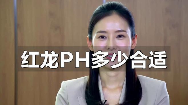 紅龍魚發色最佳水質參數【紅龍魚發色與水質參數密切相關】