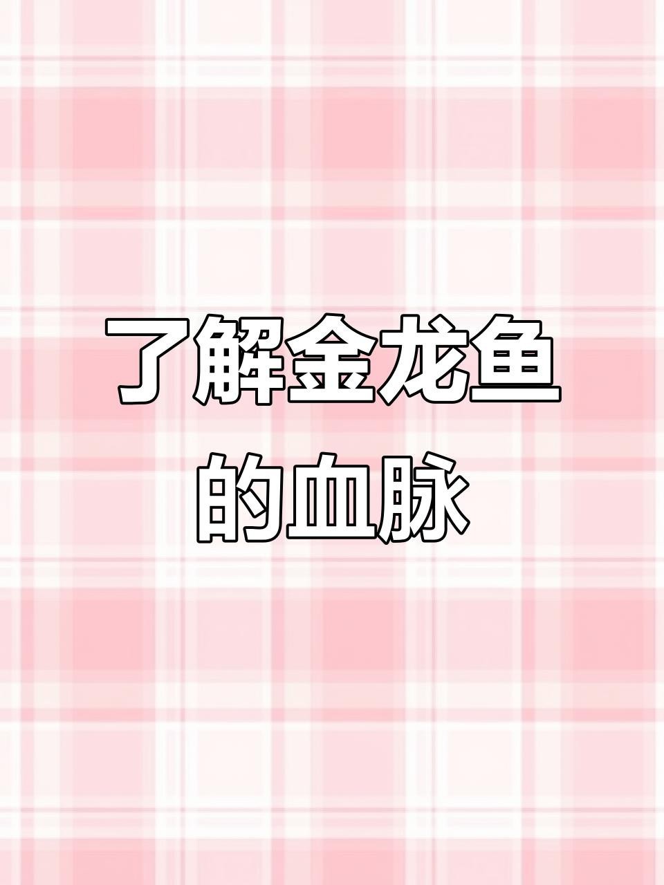 如何區分金龍魚的不同品種？【金龍魚的品種與價格區別】