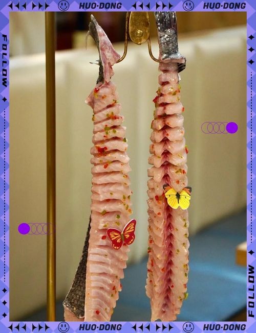 可以吃的蝴蝶魚圖片【可以吃的蝴蝶魚圖片——淄博】 可以吃的蝴蝶魚圖片【可以吃的蝴蝶魚圖片——淄博】 龍魚百科 第10張