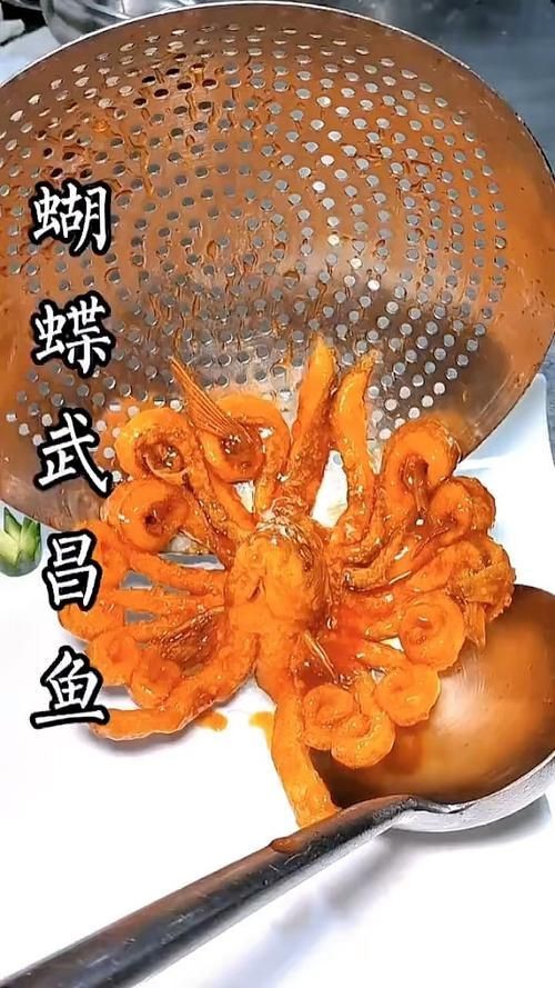 可以吃的蝴蝶魚圖片【可以吃的蝴蝶魚圖片——淄博】 可以吃的蝴蝶魚圖片【可以吃的蝴蝶魚圖片——淄博】 龍魚百科 第13張
