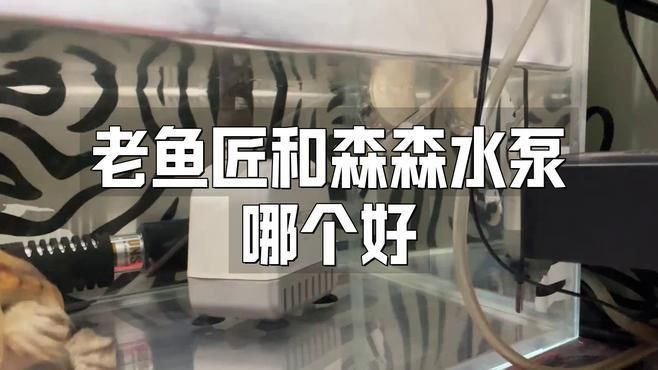 老魚匠水泵和森森水泵哪種好【老魚匠和森森水泵哪個好】 老魚匠水泵和森森水泵哪種好【老魚匠和森森水泵哪個好】 龍魚百科 第2張