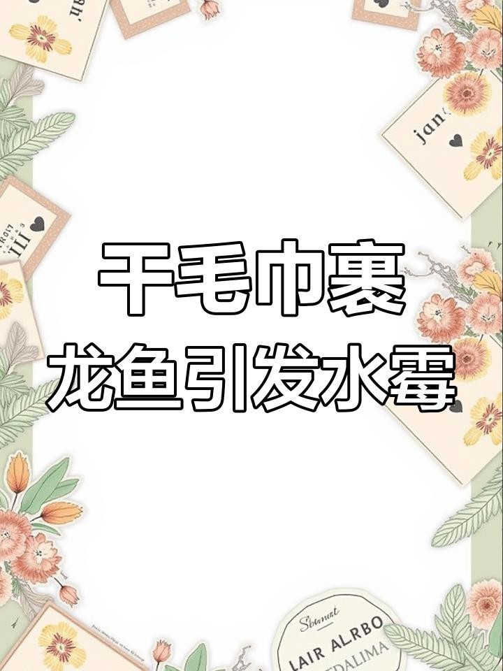龍魚黑霉病的癥狀有哪些？【農(nóng)情萬家龍魚跳缸后竟得水霉病，原因竟然是這個操作！】