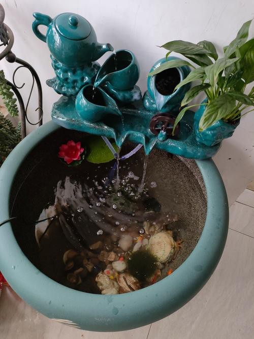 金魚缸圖片大全【《金魚缸圖片大全》*《金魚缸圖片大全》】