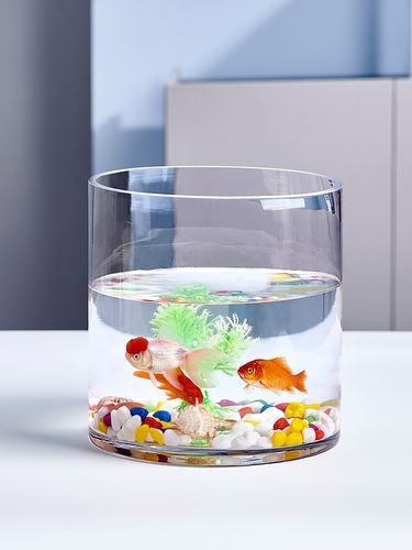 金魚缸圖片大全【《金魚缸圖片大全》*《金魚缸圖片大全》】
