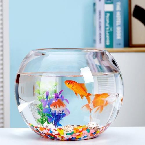 金魚缸圖片大全【《金魚缸圖片大全》*《金魚缸圖片大全》】