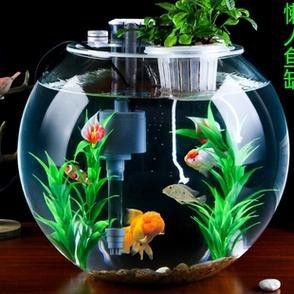 金魚缸圖片大全【《金魚缸圖片大全》*《金魚缸圖片大全》】