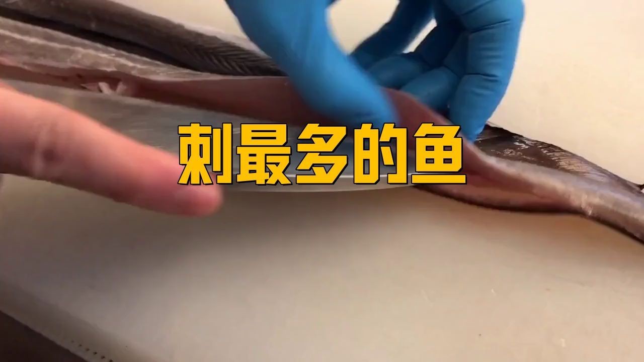 鰻魚為什么那么多小刺【鰻魚小刺多是什么原因】 鰻魚為什么那么多小刺【鰻魚小刺多是什么原因】 龍魚百科 第3張