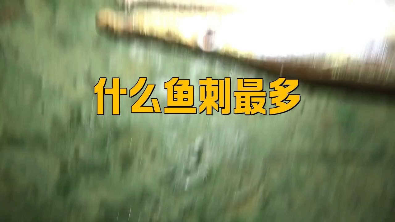 鰻魚為什么那么多小刺【鰻魚小刺多是什么原因】 鰻魚為什么那么多小刺【鰻魚小刺多是什么原因】 龍魚百科 第2張