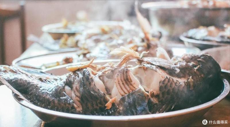 十大含重金屬的魚排名【2025年重金屬含量最高的十大魚類】