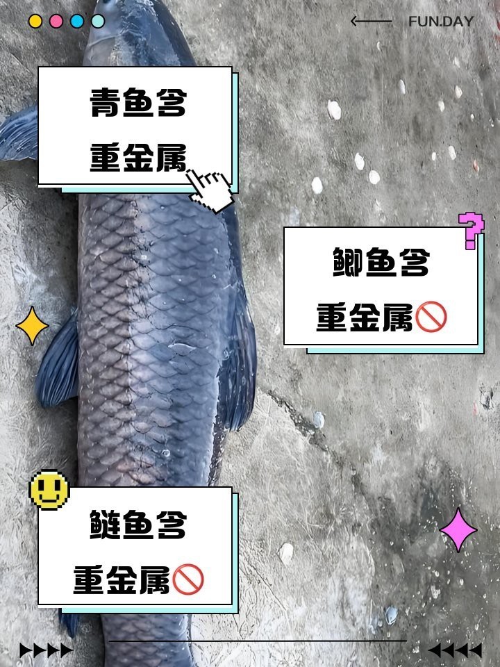 十大含重金屬的魚排名【2025年重金屬含量最高的十大魚類】