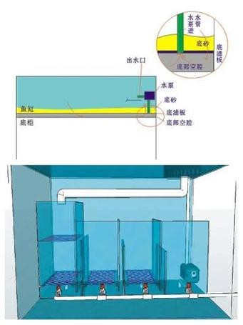 底濾魚缸安裝圖解【底濾魚缸安裝步驟與要點】