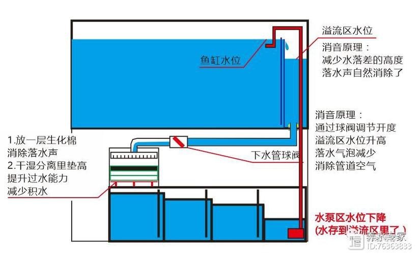 底濾魚缸安裝圖解【底濾魚缸安裝步驟與要點】