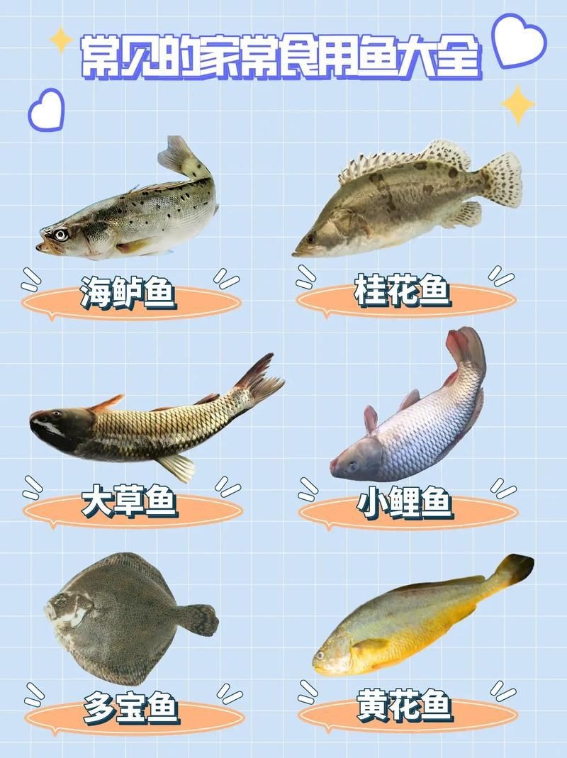 各種魚長什么樣子圖片【300多種觀賞魚圖鑒淡水魚怎么選盤點20種淡水魚的區別】 各種魚長什么樣子圖片【300多種觀賞魚圖鑒淡水魚怎么選盤點20種淡水魚的區別】 龍魚論壇 第7張