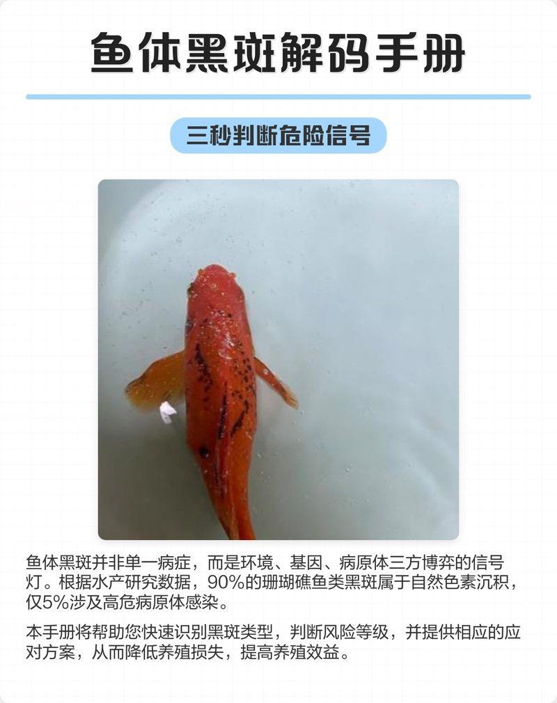 哪些藥物可能導致魚背發黑？【魚背發黑可能與多種藥物使用不當有關】