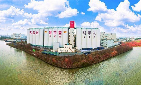金龍魚(yú)2024年最新消息是什么【《金龍魚(yú)2024年最新消息摘要》】 龍魚(yú)百科 第8張 金龍魚(yú)2024年最新消息是什么【《金龍魚(yú)2024年最新消息摘要》】 金龍魚(yú)2024年最新消息是什么【《金龍魚(yú)2024年最新消息摘要》】 龍魚(yú)百科 第8張