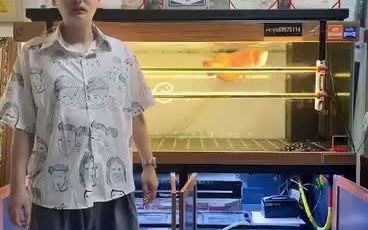 如何選擇適合龍魚的缸體材質【全面解析頂級龍魚缸怎么選】