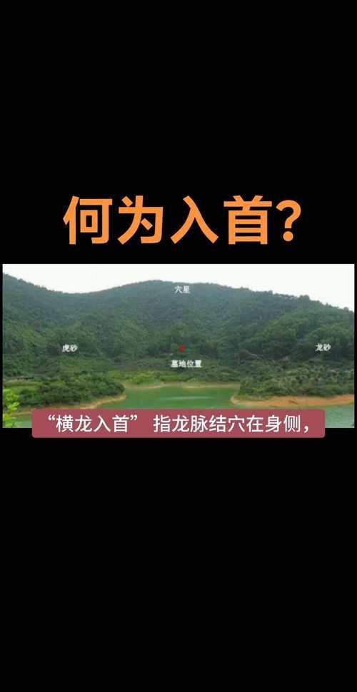雷龍用細沙還是粗砂【關于雷龍飼養中使用的是細沙還是粗砂，存在不同觀點】