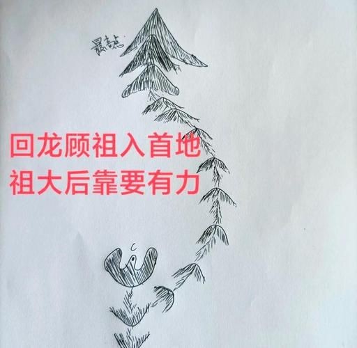 雷龍用細沙還是粗砂【關于雷龍飼養中使用的是細沙還是粗砂，存在不同觀點】