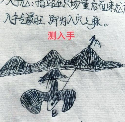雷龍用細沙還是粗砂【關于雷龍飼養中使用的是細沙還是粗砂，存在不同觀點】