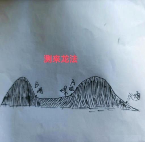 雷龍用細(xì)沙還是粗砂【關(guān)于雷龍飼養(yǎng)中使用的是細(xì)沙還是粗砂，存在不同觀點(diǎn)】