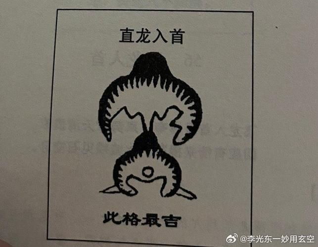 雷龍用細(xì)沙還是粗砂【關(guān)于雷龍飼養(yǎng)中使用的是細(xì)沙還是粗砂，存在不同觀點(diǎn)】