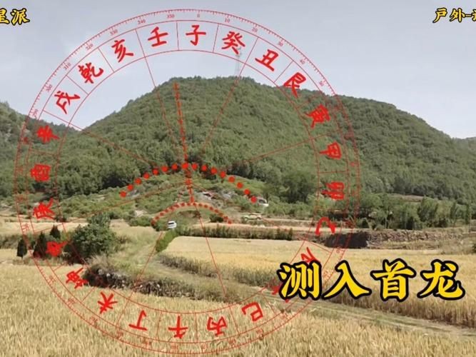 雷龍用細(xì)沙還是粗砂【關(guān)于雷龍飼養(yǎng)中使用的是細(xì)沙還是粗砂，存在不同觀點(diǎn)】