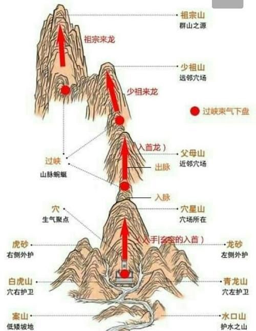 雷龍用細(xì)沙還是粗砂【關(guān)于雷龍飼養(yǎng)中使用的是細(xì)沙還是粗砂，存在不同觀點(diǎn)】