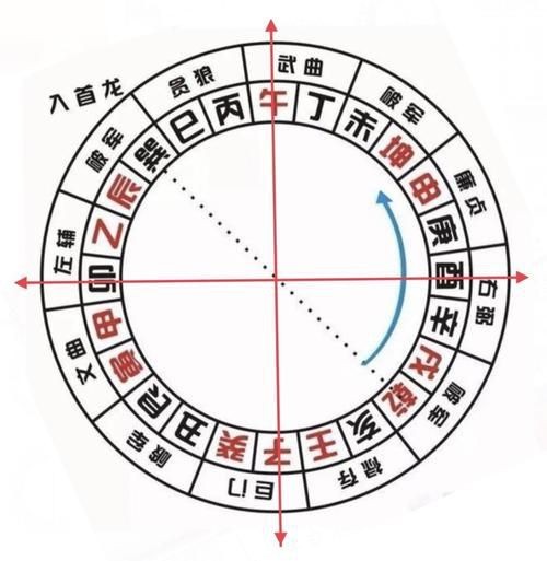 雷龍用細(xì)沙還是粗砂【關(guān)于雷龍飼養(yǎng)中使用的是細(xì)沙還是粗砂，存在不同觀點(diǎn)】