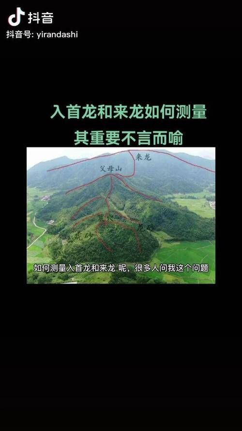 雷龍用細(xì)沙還是粗砂【關(guān)于雷龍飼養(yǎng)中使用的是細(xì)沙還是粗砂，存在不同觀點(diǎn)】