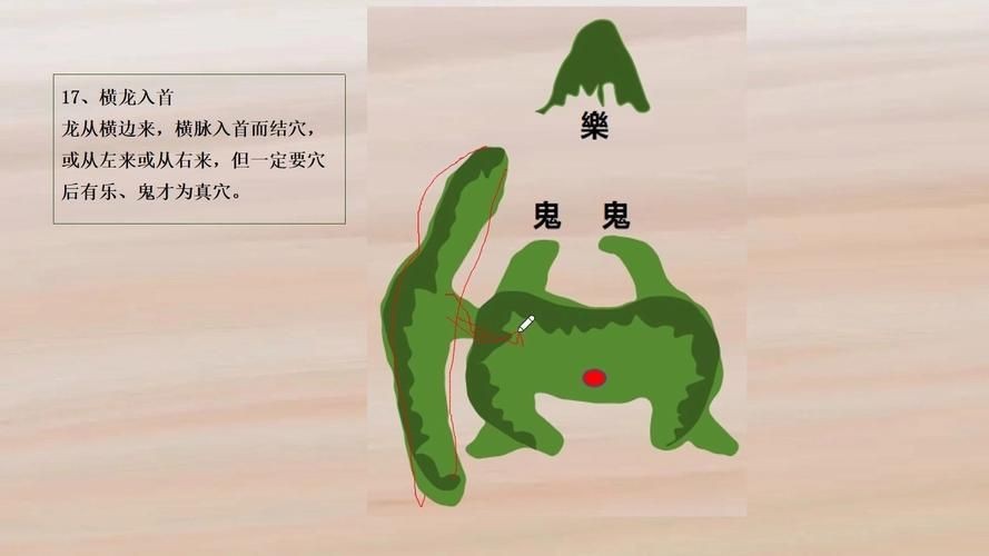 雷龍用細(xì)沙還是粗砂【關(guān)于雷龍飼養(yǎng)中使用的是細(xì)沙還是粗砂，存在不同觀點(diǎn)】