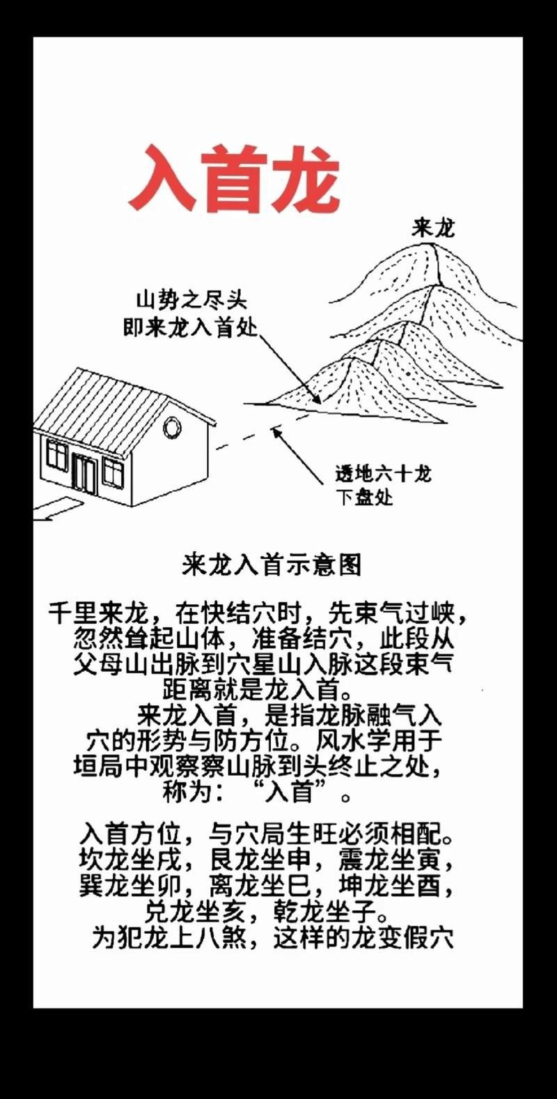 雷龍用細(xì)沙還是粗砂【關(guān)于雷龍飼養(yǎng)中使用的是細(xì)沙還是粗砂，存在不同觀點(diǎn)】
