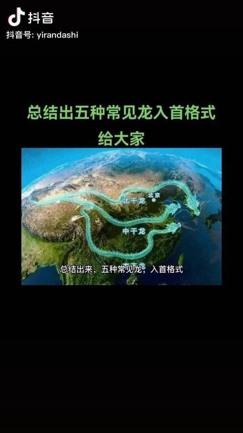 雷龍用細(xì)沙還是粗砂【關(guān)于雷龍飼養(yǎng)中使用的是細(xì)沙還是粗砂，存在不同觀點(diǎn)】