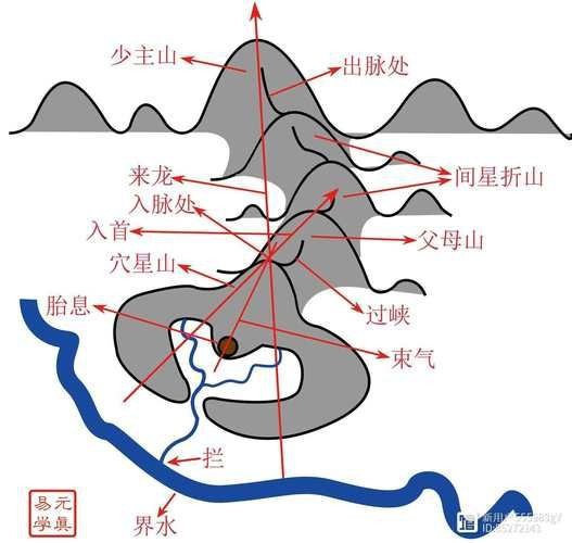 雷龍用細(xì)沙還是粗砂【關(guān)于雷龍飼養(yǎng)中使用的是細(xì)沙還是粗砂，存在不同觀點(diǎn)】