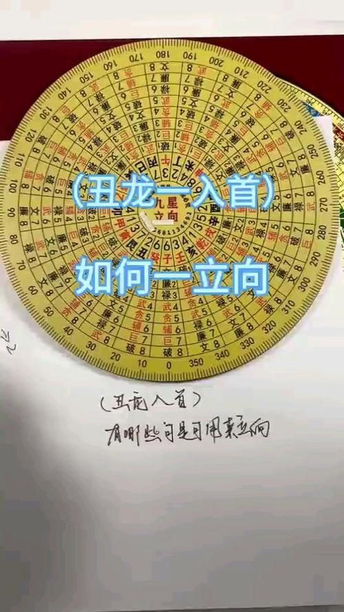 雷龍用細(xì)沙還是粗砂【關(guān)于雷龍飼養(yǎng)中使用的是細(xì)沙還是粗砂，存在不同觀點(diǎn)】
