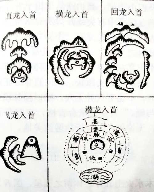 雷龍用細(xì)沙還是粗砂【關(guān)于雷龍飼養(yǎng)中使用的是細(xì)沙還是粗砂，存在不同觀點(diǎn)】