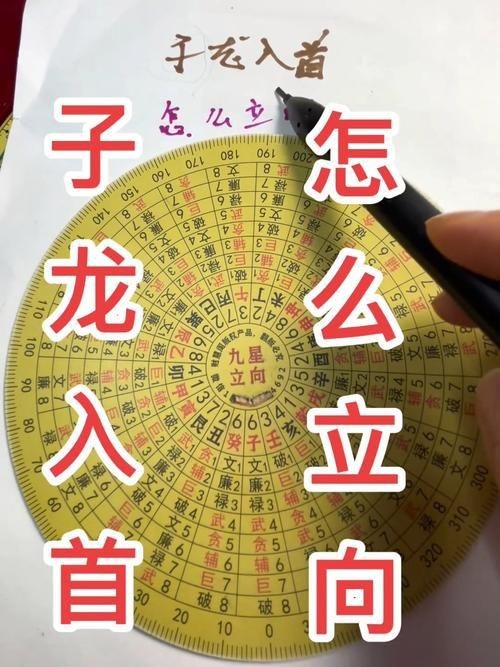 雷龍用細(xì)沙還是粗砂【關(guān)于雷龍飼養(yǎng)中使用的是細(xì)沙還是粗砂，存在不同觀點(diǎn)】