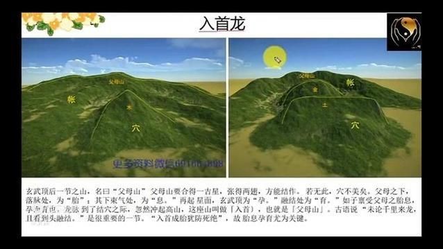 雷龍用細(xì)沙還是粗砂【關(guān)于雷龍飼養(yǎng)中使用的是細(xì)沙還是粗砂，存在不同觀點(diǎn)】