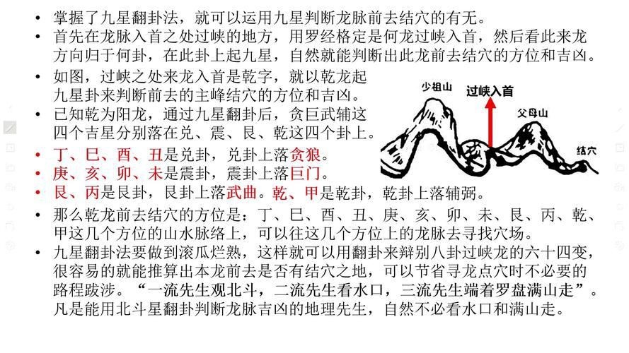 雷龍用細(xì)沙還是粗砂【關(guān)于雷龍飼養(yǎng)中使用的是細(xì)沙還是粗砂，存在不同觀點(diǎn)】