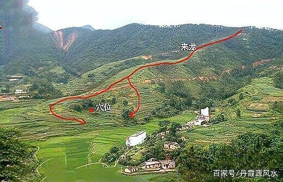 雷龍用細(xì)沙還是粗砂【關(guān)于雷龍飼養(yǎng)中使用的是細(xì)沙還是粗砂，存在不同觀點(diǎn)】