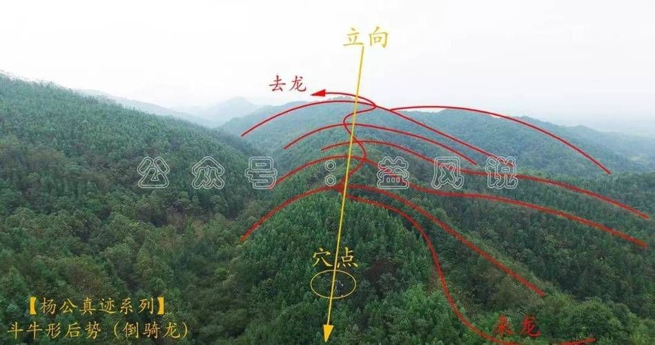 雷龍用細(xì)沙還是粗砂【關(guān)于雷龍飼養(yǎng)中使用的是細(xì)沙還是粗砂，存在不同觀點(diǎn)】
