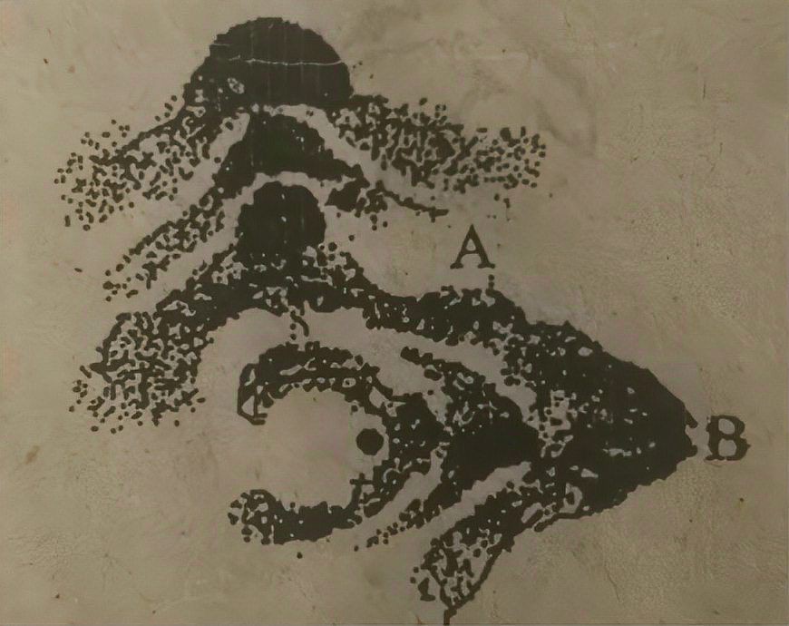 雷龍用細(xì)沙還是粗砂【關(guān)于雷龍飼養(yǎng)中使用的是細(xì)沙還是粗砂，存在不同觀點(diǎn)】