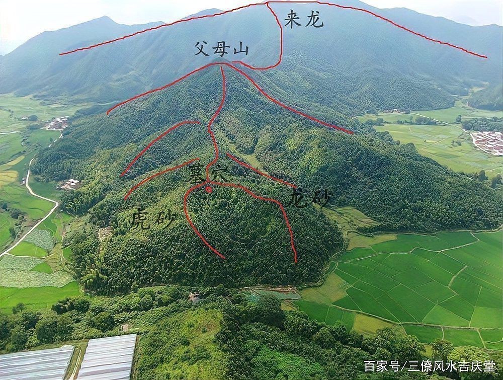 雷龍用細(xì)沙還是粗砂【關(guān)于雷龍飼養(yǎng)中使用的是細(xì)沙還是粗砂，存在不同觀點(diǎn)】