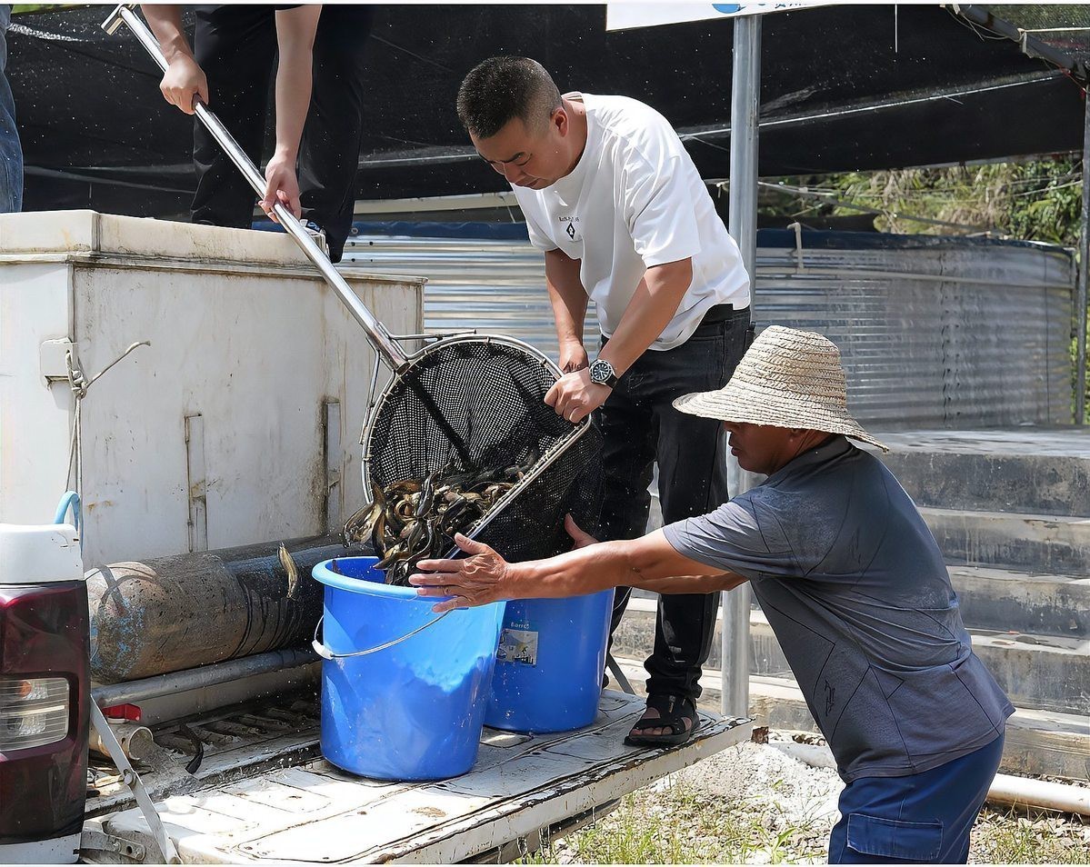 附近魚苗基地位置【北京周邊已形成多個特色魚苗培育集群，】 附近魚苗基地位置【北京周邊已形成多個特色魚苗培育集群，】 龍魚論壇 第1張