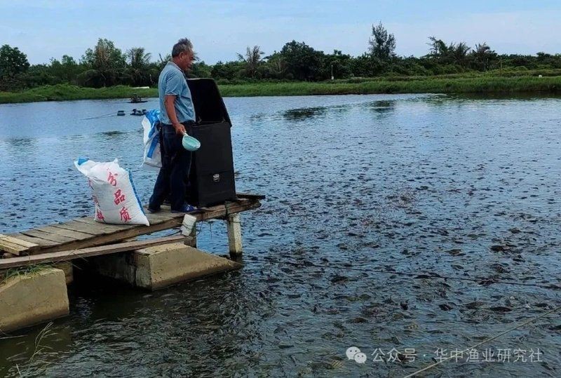 能否提供更多關于魚塘浮頭的信息？【成都蒲江河出現河魚浮頭、死亡，這十大致命因素你一定要了解】