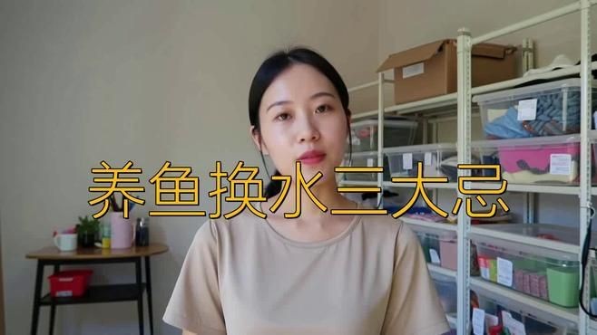 風水魚多久換一次水【養魚人必看:魚缸換水頻率全攻略】