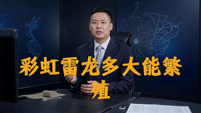 彩虹雷龍繁殖期如何護理？【彩虹雷龍繁殖帶苗全攻略，養魚新手也可簡單完成養魚說】