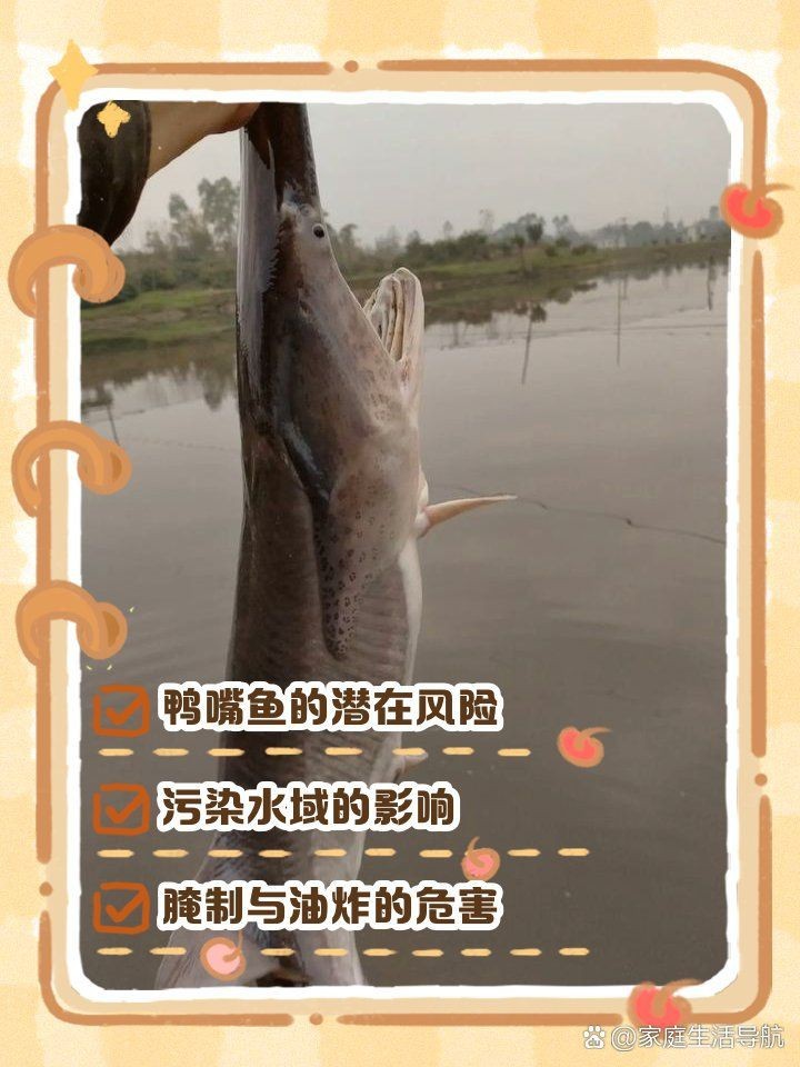 虎斑鴨嘴鯊魚能吃嗎【關(guān)于虎斑鴨嘴鯊魚能否食用存在諸多爭(zhēng)議，從一方面看】
