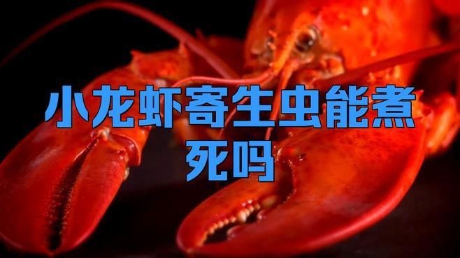 哪種烹飪方式最能有效殺死寄生蟲？【奧利漫研社：七月的監護人豬肉炒3分鐘能殺死寄生蟲嗎】 哪種烹飪方式最能有效殺死寄生蟲？【奧利漫研社：七月的監護人豬肉炒3分鐘能殺死寄生蟲嗎】 龍魚百科 第3張