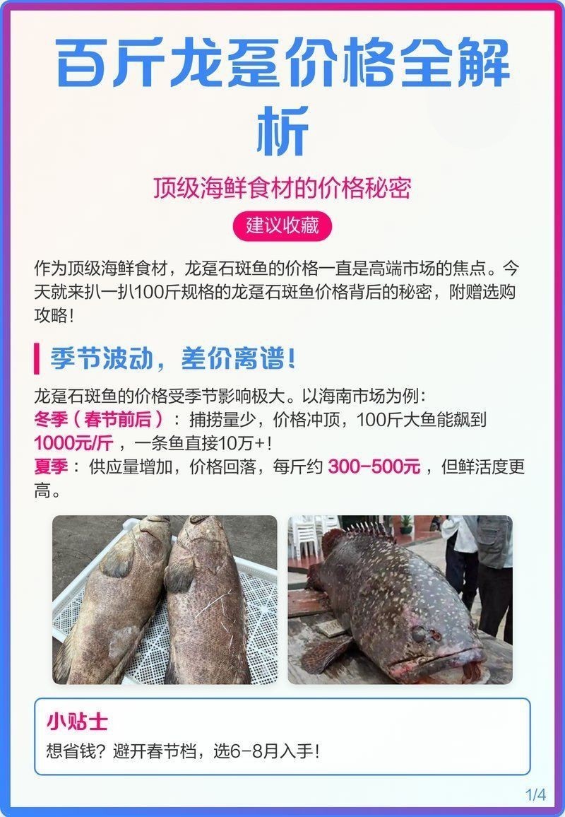 龍躉石斑魚的價格