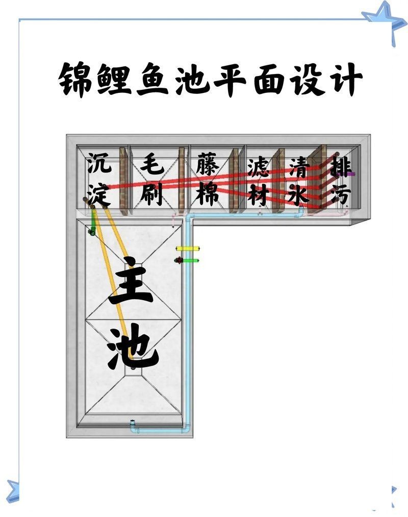 錦鯉褪色如何恢復【錦鯉褪色后，可通過以下方法來嘗試恢復，要確保水質良好】